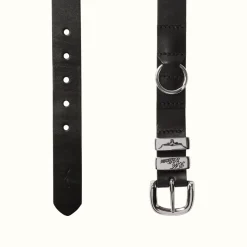 R.M. Williams Drover 1 1/4" Dog Collar Black Flash Sale